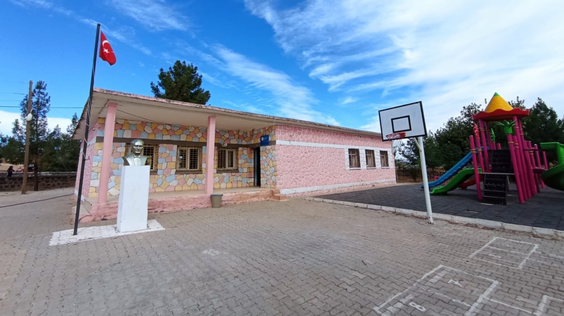 Fotoğrafı Fotoğrafı